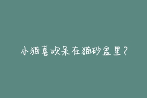 小猫喜欢呆在猫砂盆里?-动物百科
