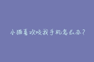 小猫喜欢咬我手机怎么办?-动物百科