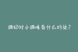 猫奶对小猫咪有什么好处?-动物百科