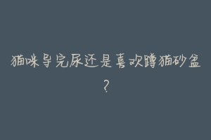 猫咪导完尿还是喜欢蹲猫砂盆?-动物百科