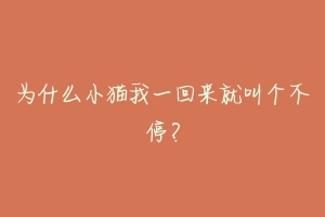 为什么小猫我一回来就叫个不停?-动物百科