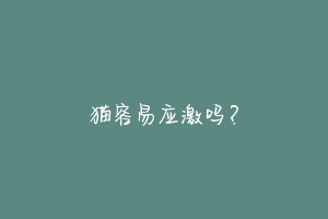 猫容易应激吗?-动物百科