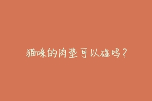 猫咪的肉垫可以碰吗?-动物百科