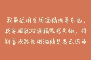 我最近用医用酒精消毒东西,我家猫就对酒精很感兴趣,特别喜欢舔医用酒精是怎么回事?-动物百科