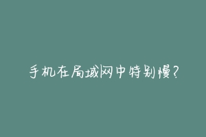 手机在局域网中特别慢?-动物百科