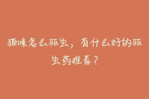 猫咪怎么驱虫,有什么好的驱虫药推荐?-动物百科