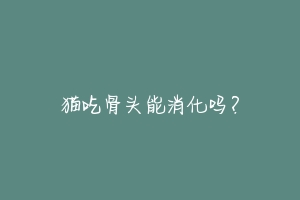 猫吃骨头能消化吗?-动物百科