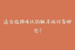 适合给猫咪玩的触屏游戏有哪些?-动物百科