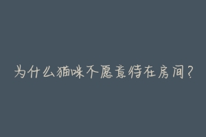 为什么猫咪不愿意待在房间?-动物百科