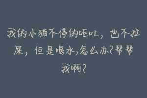 我的小猫不停的呕吐,也不拉屎,但是喝水,怎么办?帮帮我啊?-动物百科