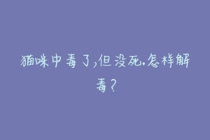 猫咪中毒了,但没死.怎样解毒?-动物百科