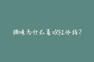 猫咪为什么喜欢红外线?-动物百科