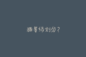 猫等级划分?-动物百科