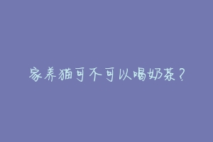家养猫可不可以喝奶茶?-动物百科