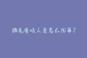 猫老爱咬人是怎么回事?-动物百科