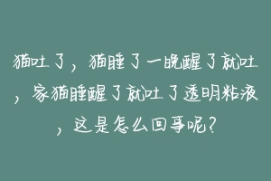 猫吐了,猫睡了一晚醒了就吐,家猫睡醒了就吐了透明粘液,这是怎么回事呢?-动物百科
