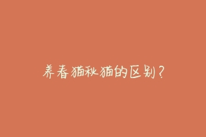 养春猫秋猫的区别?-动物百科