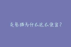 交易猫为什么这么便宜?-动物百科