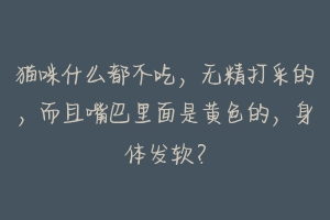 猫咪什么都不吃,无精打采的,而且嘴巴里面是黄色的,身体发软?-动物百科