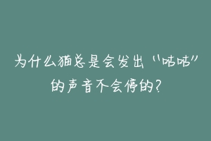 为什么猫总是会发出“咕咕”的声音不会停的?-动物百科