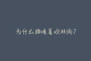 为什么猫咪喜欢淋雨?-动物百科