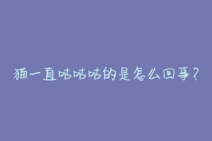 猫一直咕咕咕的是怎么回事?-动物百科