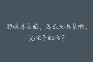 猫咪耳朵脏，怎么洗耳朵啊，完全不配合？-动物百科