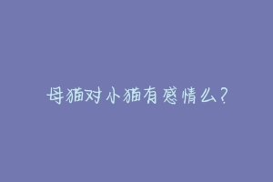 母猫对小猫有感情么？-动物百科