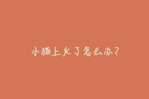 小猫上火了怎么办？-动物百科