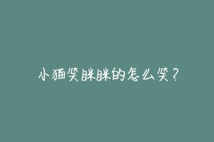 小猫笑眯眯的怎么笑？-动物百科