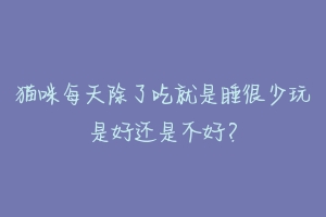 猫咪每天除了吃就是睡很少玩是好还是不好？-动物百科