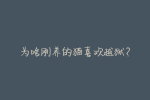 为啥刚养的猫喜欢越狱?-动物百科