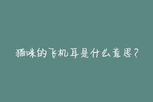 猫咪的飞机耳是什么意思?-动物百科