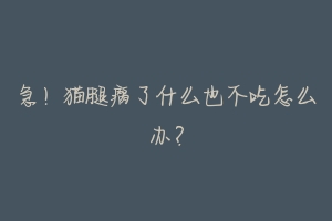 急!猫腿瘸了什么也不吃怎么办?-动物百科