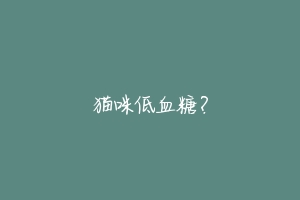 猫咪低血糖？-动物百科