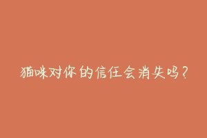 猫咪对你的信任会消失吗？-动物百科