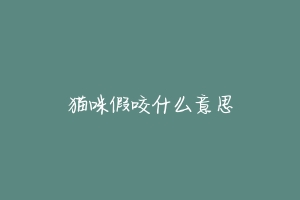 猫咪假咬什么意思-动物百科