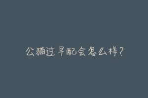 公猫过早配会怎么样?-动物百科