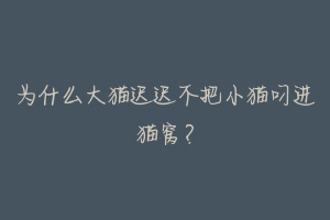 为什么大猫迟迟不把小猫叼进猫窝?-动物百科