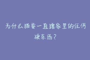 为什么猫要一直蹭家里的任何硬东西？-动物百科