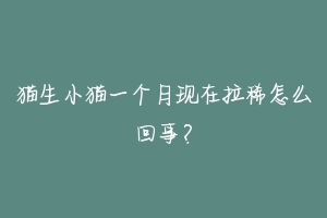 猫生小猫一个月现在拉稀怎么回事?-动物百科