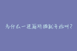 为什么一进厕所猫就开始叫?-动物百科