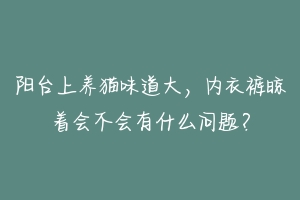 阳台上养猫味道大,内衣裤晾着会不会有什么问题?-动物百科