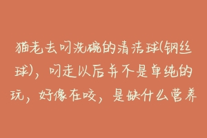 猫老去叼洗碗的清洁球(钢丝球),叼走以后并不是单纯的玩,好像在咬,是缺什么营养了么?-动物百科