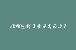 猫嘴巴得了炎症怎么办?-动物百科