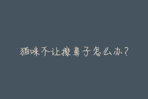 猫咪不让擦鼻子怎么办?-动物百科