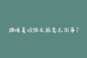 猫咪喜欢舔衣服怎么回事?-动物百科