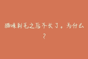 猫咪剃毛之后不长了。为什么?-动物百科