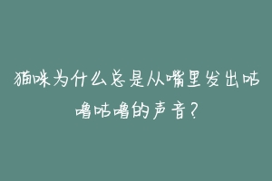 猫咪为什么总是从嘴里发出咕噜咕噜的声音?-动物百科