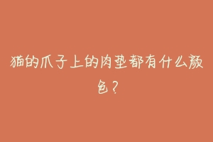 猫的爪子上的肉垫都有什么颜色?-动物百科